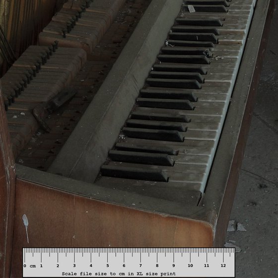 #26. Pripyat mausoleum of pianos 1 - XL size
