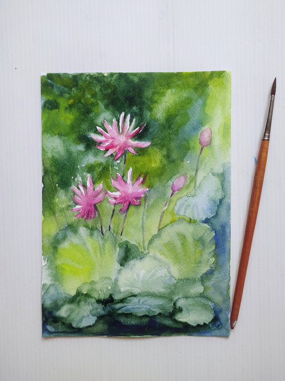 Pink Water Lilies Sl. No 18