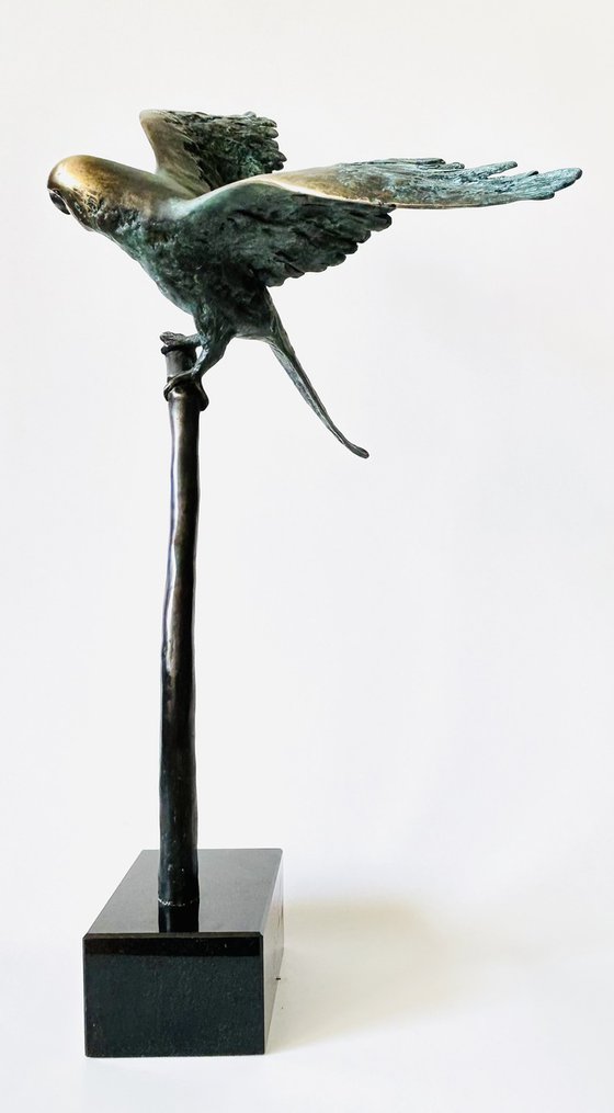 Emerald Flight Reverie, no.V/VIII