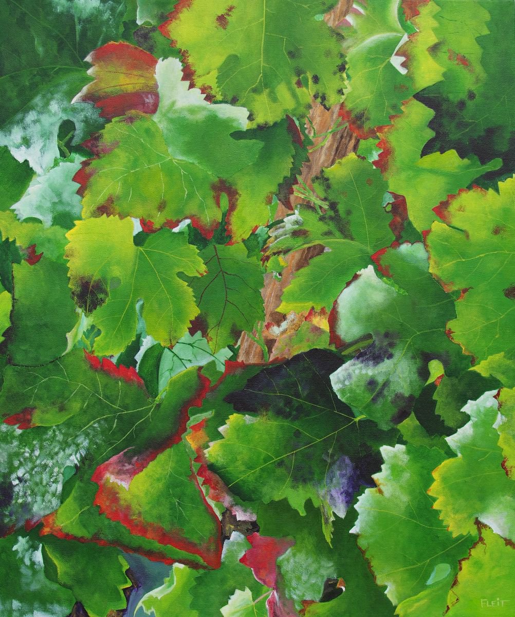 Bordeaux Vineyard 3 By Steven Fleit, 20 X 24, Artwork For Sale On Artfinder