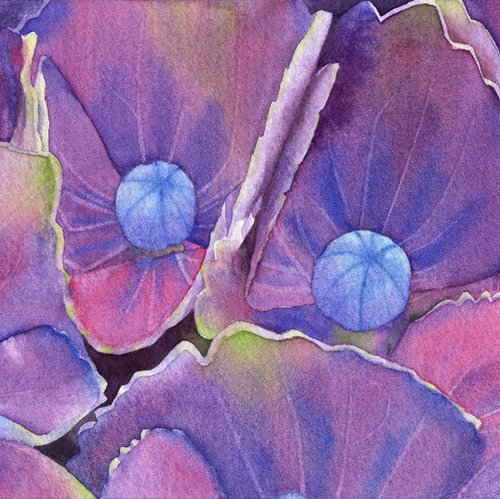 Whispers of Hydrangea by Alona Hryn