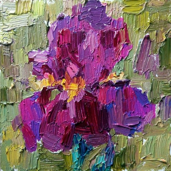 Irises #2