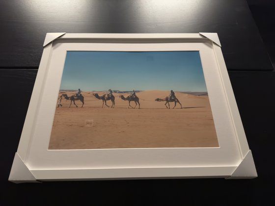 SAHARA CAMELS