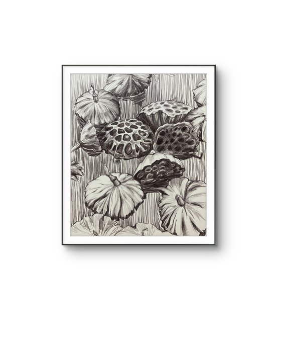 Lotus pods. Water flower