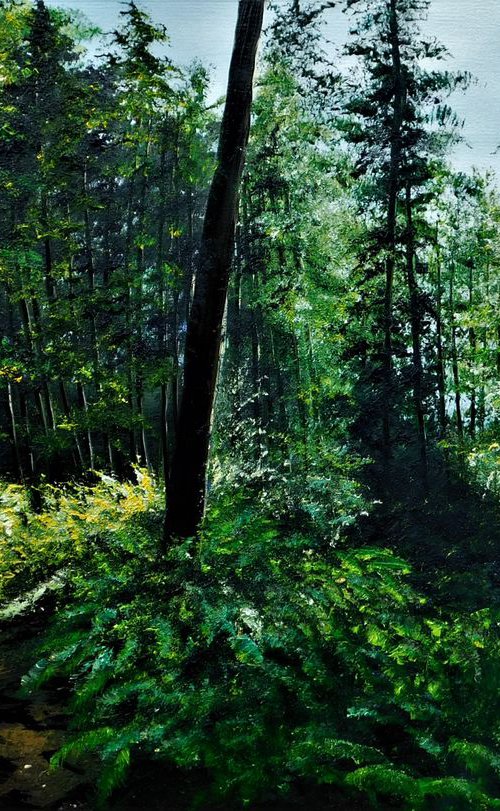 Deep Into The Forest by Hazel Thomson
