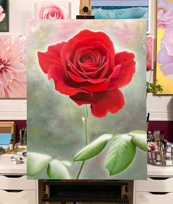 Rosa Amoris. Red rose