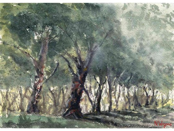 By The Edge Of The Trees