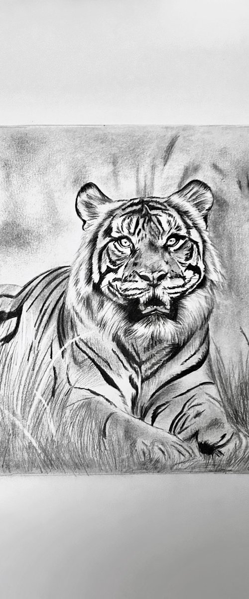 The king of the jungle by Amelia Taylor