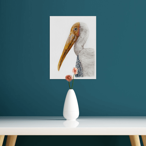 Painted Stork, bird portrait