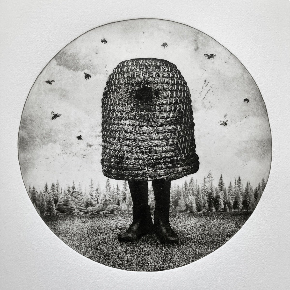 Surrealistic Animal Etchings & Engravings By Jaco Putker, 15 X 16, Hive No.3, Original Artwork