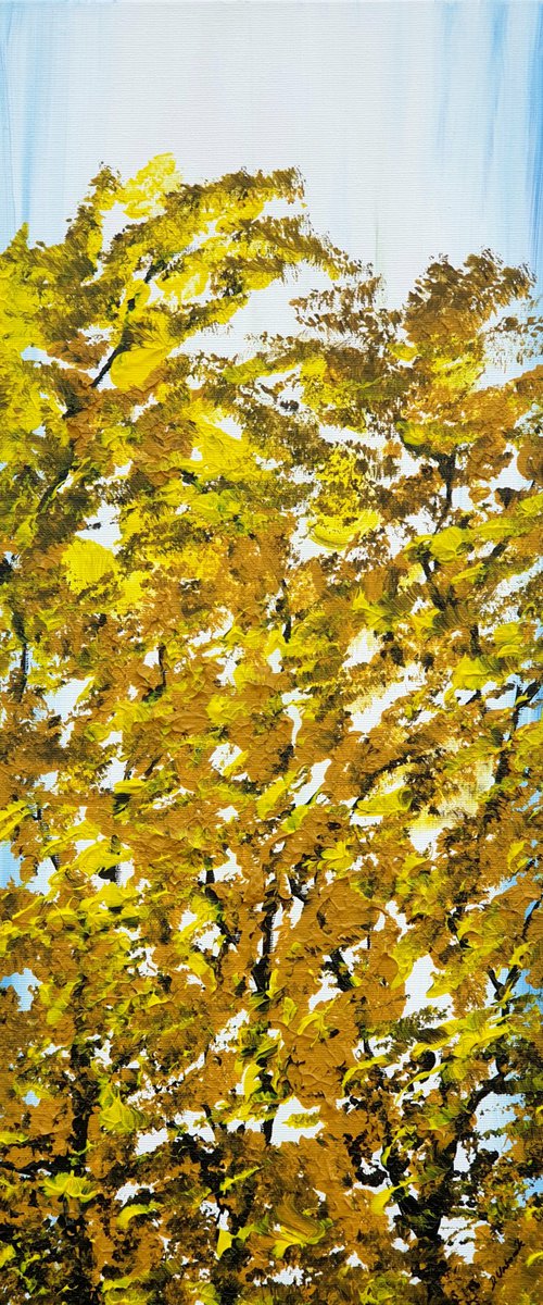 Autumn Trees by Daniel Urbaník