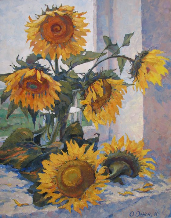 Sunflower dialogue