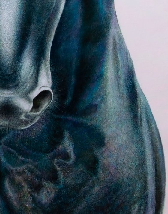 Black Eclipse. The Horse.