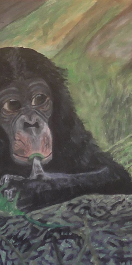 Bonobo by Robbie Potter