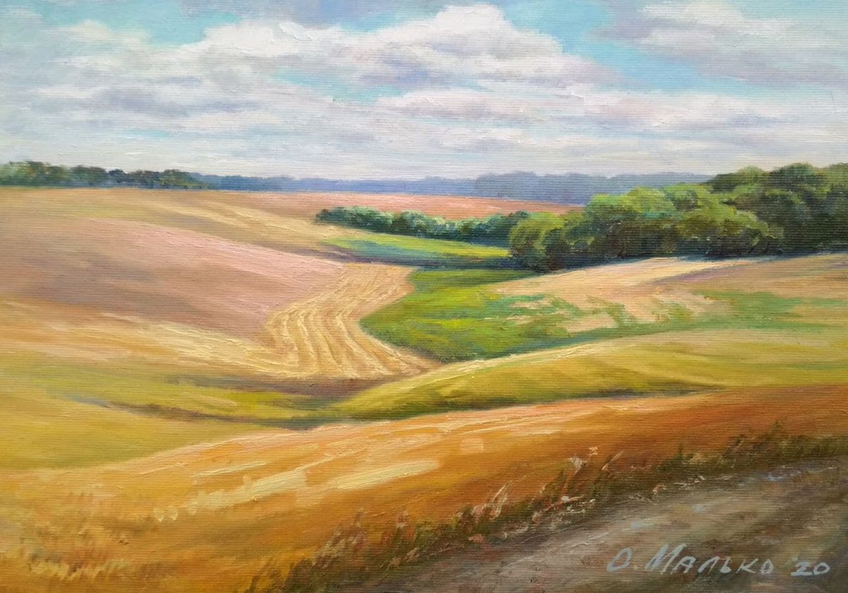 Across the field / Harvest season. Summer cornfields. Original landscape by Olha Malko