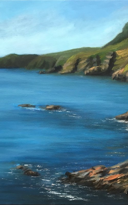 Willow Cove, South Devon by Ashley Baldwin-Smith