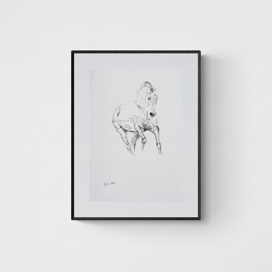 Equine Nude 29a