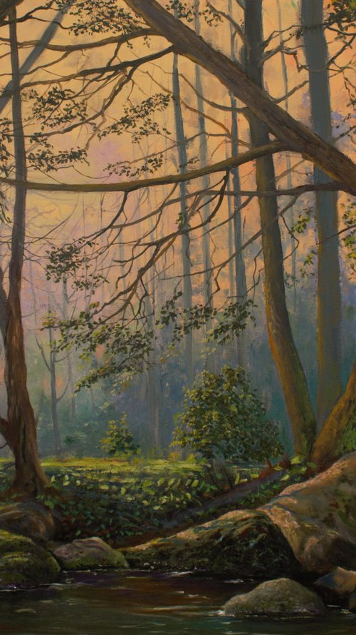 Wonderful Forest by Vladimir Jarmolo