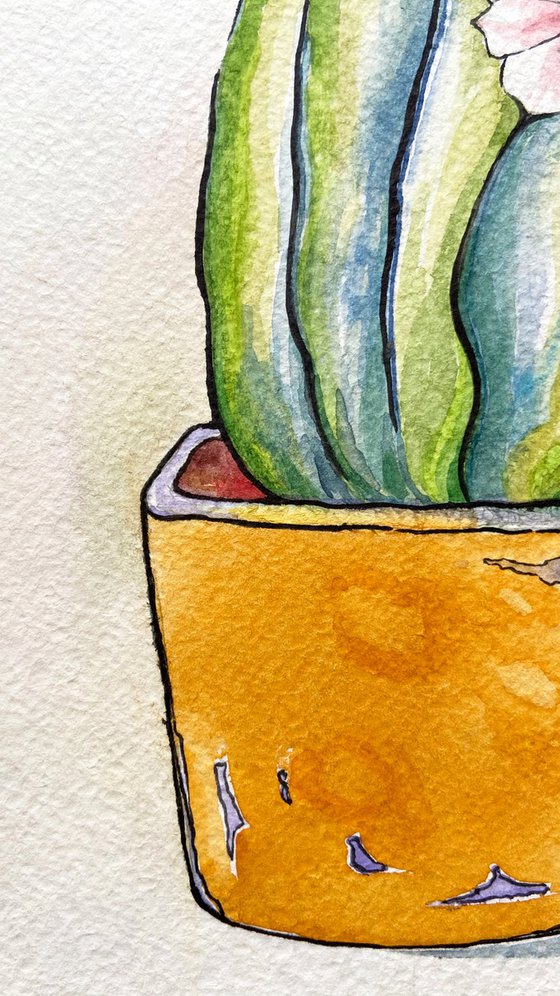 Houseplant #7