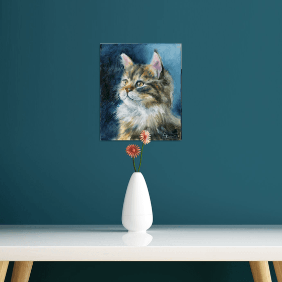 Majestic Longhair Cat