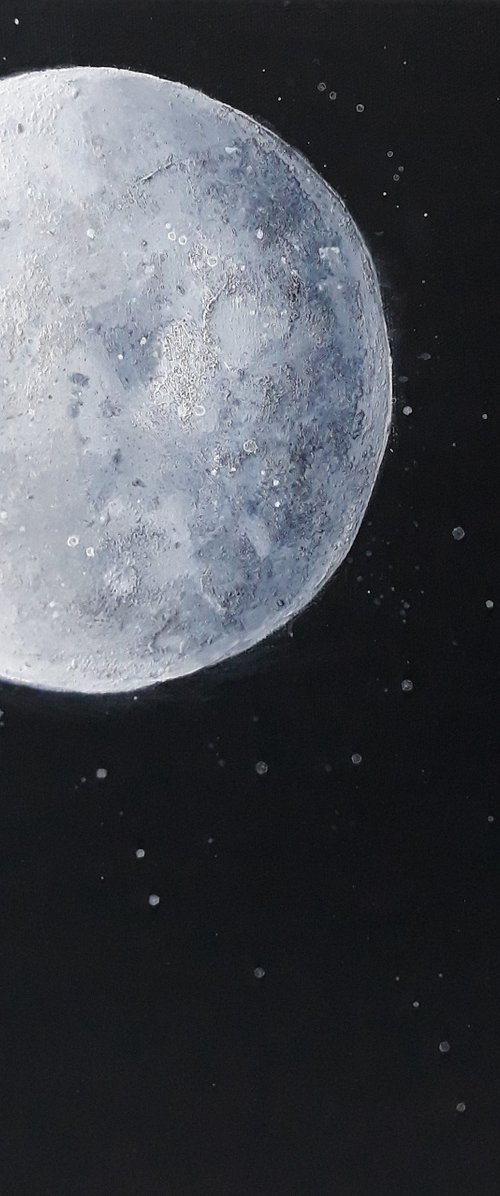 Watching The Moon.... COMMISSION FOR KEVIN by Fiona Philipps