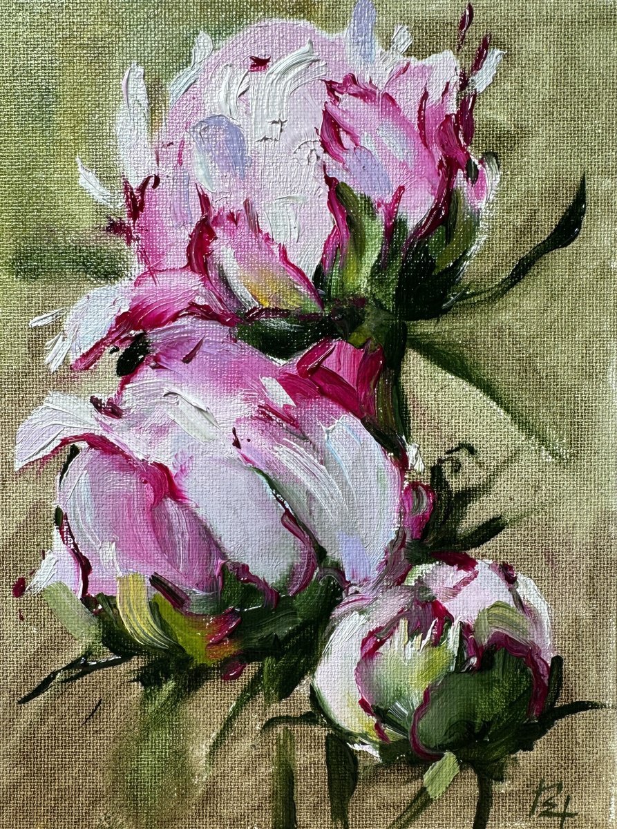 Small Bouquet Of Peonies By Olena Hromova, 6 X 8, Artwork For Sale On Artfinder
