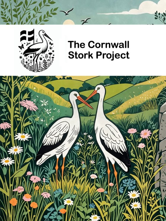 Storks of Cornwall