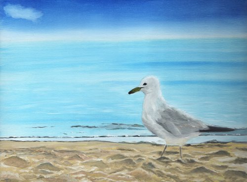 Seagull by James Potter
