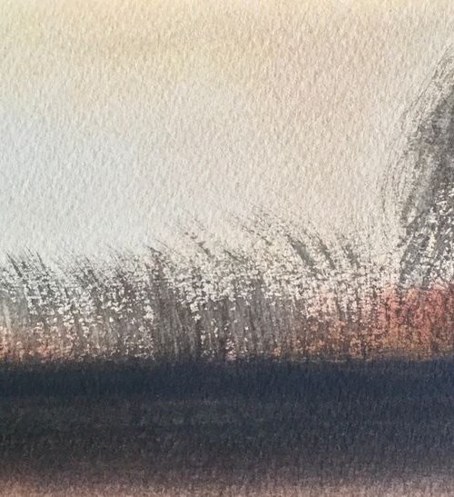 Willow and reeds by Samantha Adams