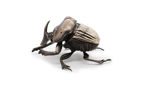 Dung Beetle Solitary by Martin Pierce