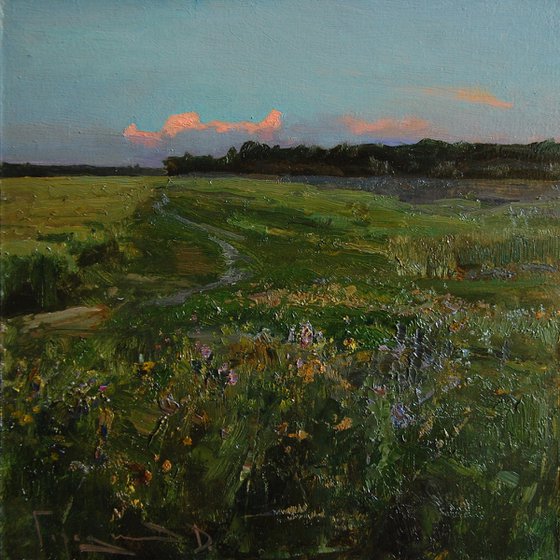 Path in the field