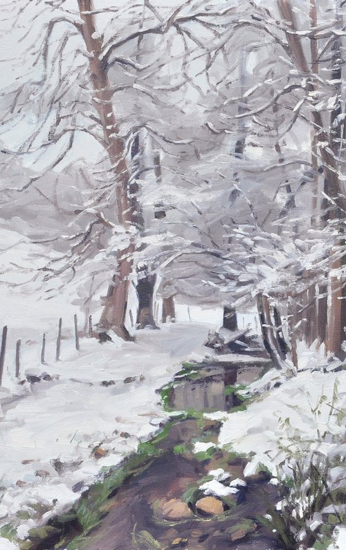 November 28, first snowfall in Saint Vincent by ANNE BAUDEQUIN