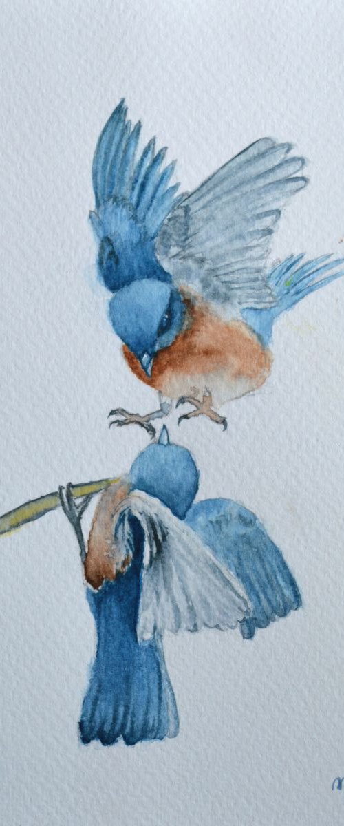 Blue Birds-RESERVED by Neha Soni