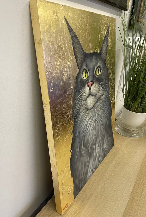 Maine Coon Simon