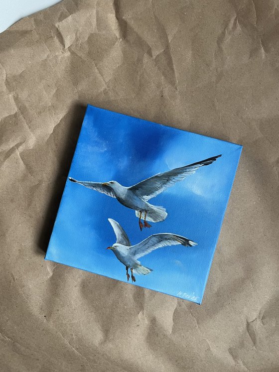 Seagulls