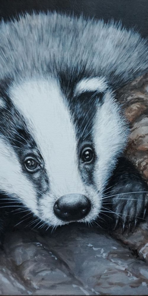 Peeping Badger 12x10 inch £190 by Jayne Farrer