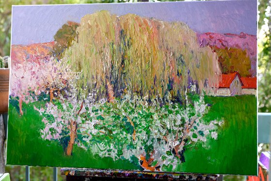 Willows and Spring Trees