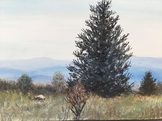 VIEW FROM GRAYSON HIGHLANDS