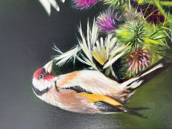 Birds and Thistle