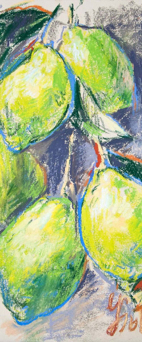 Lemons on the Branch (Study) by Daria Yablon-Soloviova