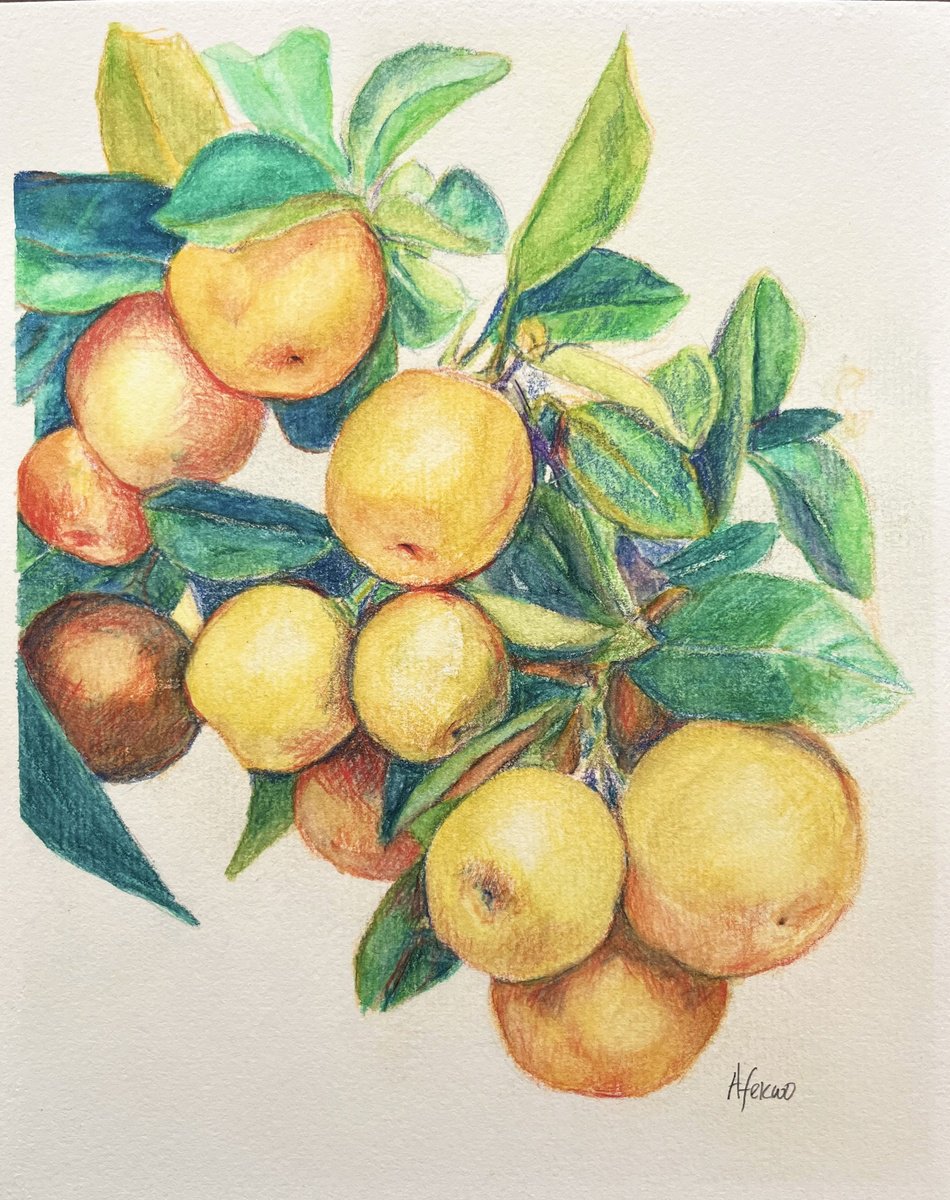 Impressionistic Landscape Watercolour By Afekwo, 8 X 10, Clementines Ii, Original Artwork