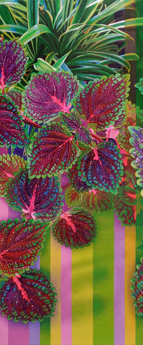 COLEUS by Sandro Chkhaidze