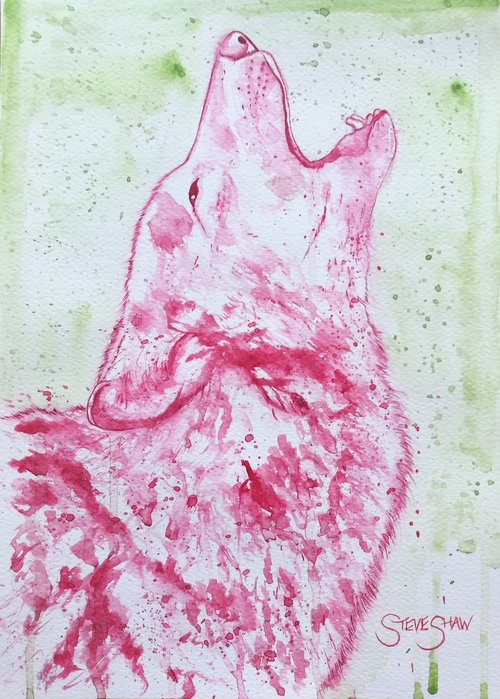 Howl. Watercolour Wolf on A4 sized paper. by Steven Shaw