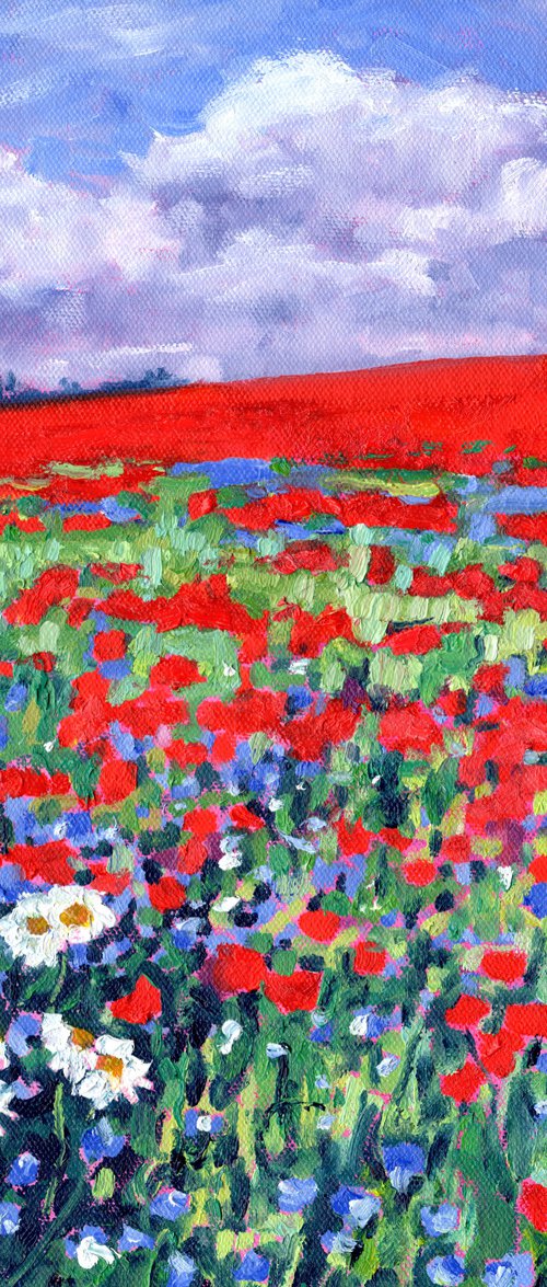Wild Poppies by Zoe Elizabeth Norman