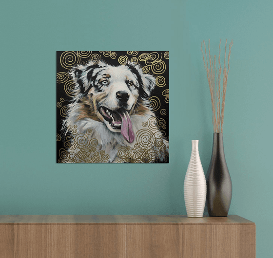 Australian shepherd