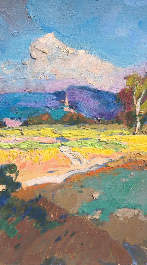 Flowering Field by Alexander Shandor