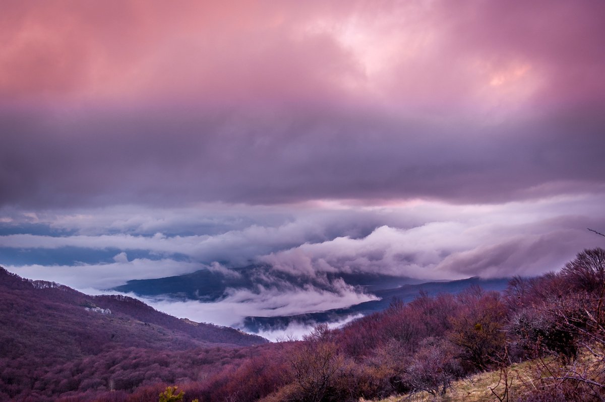 Purple Sunset by Vlad Durniev Photographer