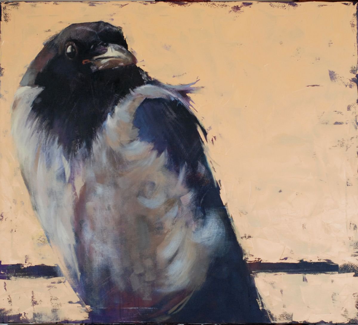 The world of birds. Crow Louise. by Igor Shulman