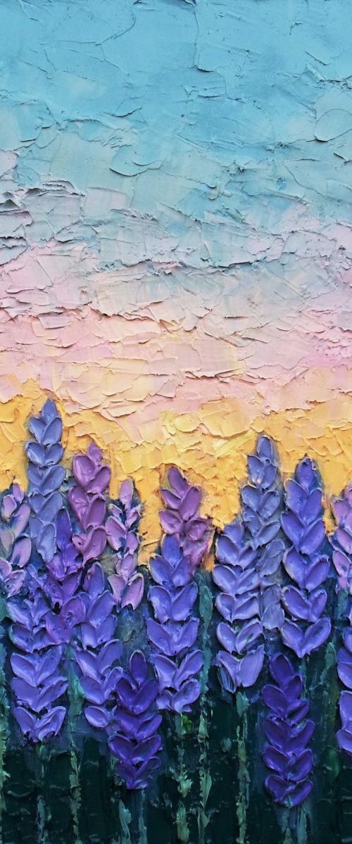 Lavender fields by Paige Castile