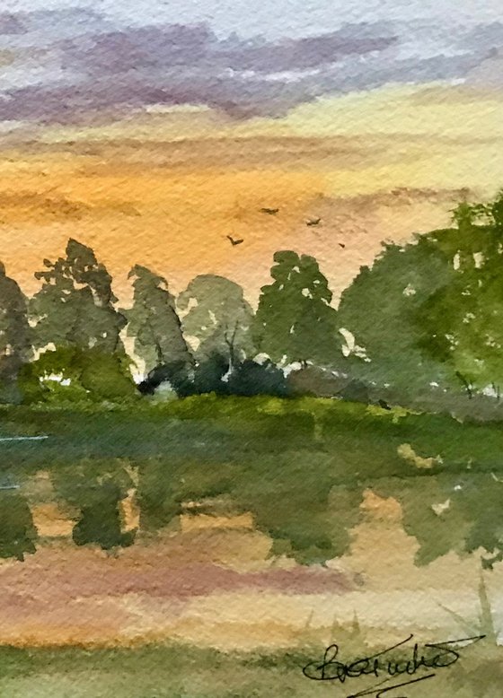 Evening Bewl Water in Kent